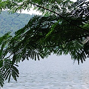 Picture 018